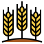 external barley-autumn-fill-outline-pongsakorn-tan icon