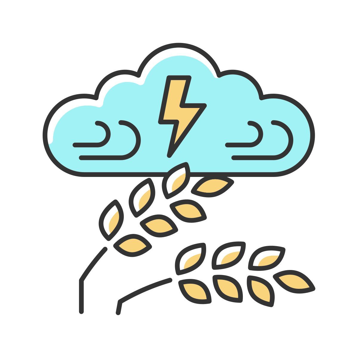 adverse weather icon