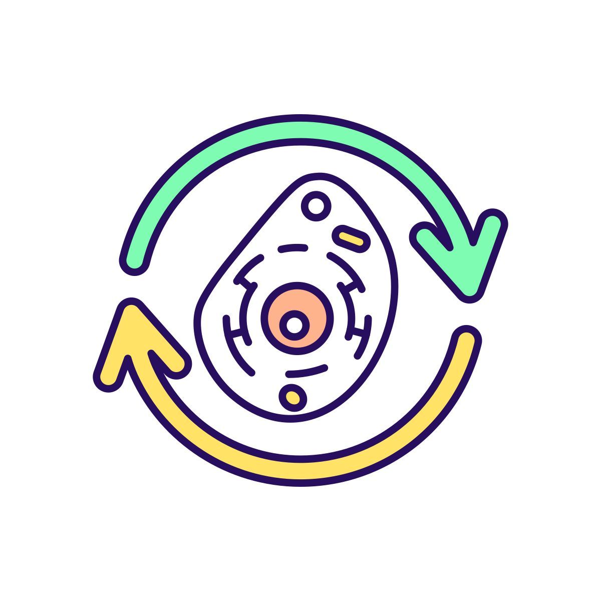 cellular regeneration icon