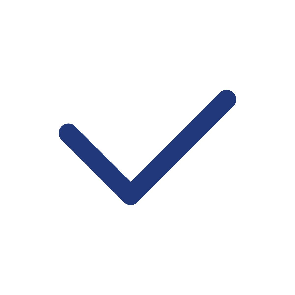 check mark icon
