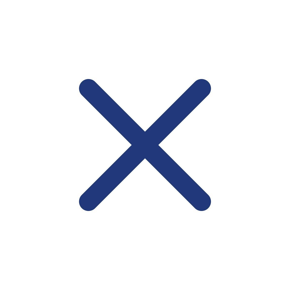 cross mark icon