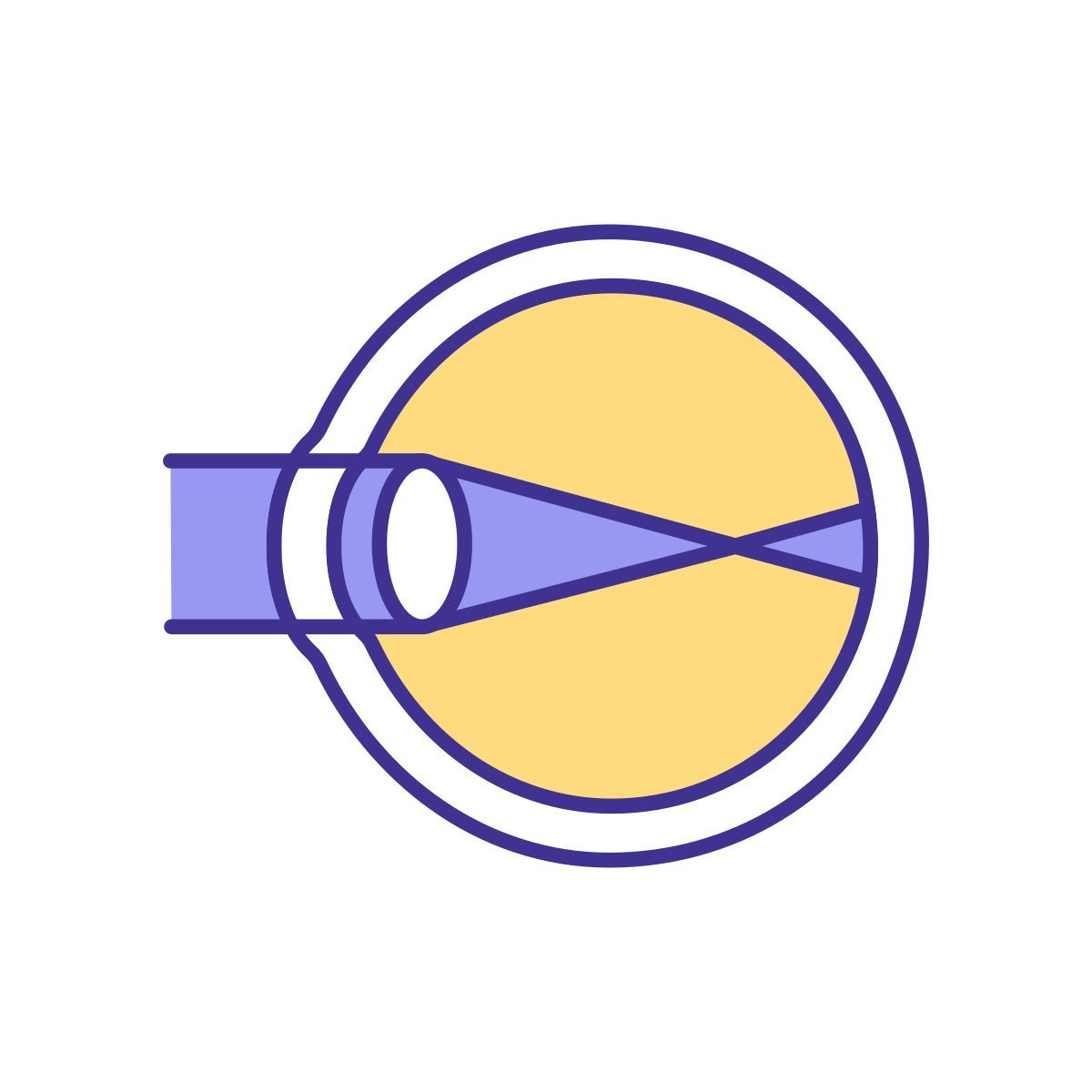 eye functionality icon
