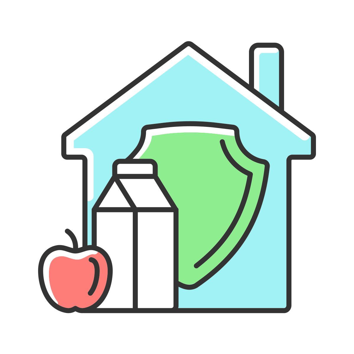 household security icon