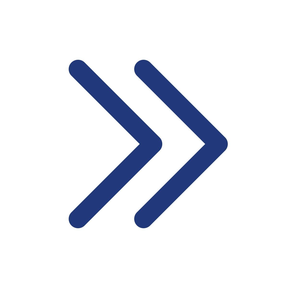 right double arrow icon