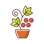 external Berry-Shrubs-And-Vines-gardening-store-categories-filled-color-icons-papa-vector icon