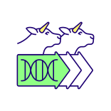 external Cattle-Genetics-Improvement-agribusiness-and-smart-farming-filled-color-icons-papa-vector icon