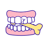 external Damaging-Teeth-With-Hard-Food-teeth-health-filled-color-icons-papa-vector icon