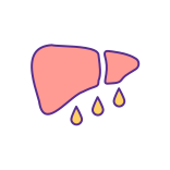 external Fatty-Liver-Disease-liver-health-filled-color-icons-papa-vector icon