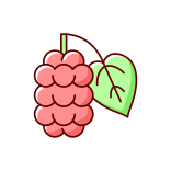 external Mulberry-allergens-filled-color-icons-papa-vector icon