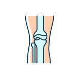 external Osteoarthritis-joints-pain-filled-color-icons-papa-vector icon