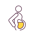 external Overweight-And-Obesity-Development-liver-health-filled-color-icons-papa-vector icon
