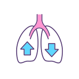 external Respiratory-System-self-love-filled-color-icons-papa-vector icon