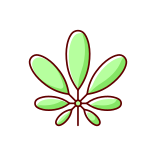 external Schefflera-allergens-filled-color-icons-papa-vector icon