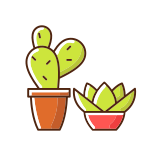 external Succulents-And-Cacti-gardening-store-categories-filled-color-icons-papa-vector icon