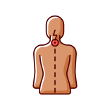external posture-back-and-posture-problems-icons-color-filled-filled-color-icons-papa-vector-29 icon
