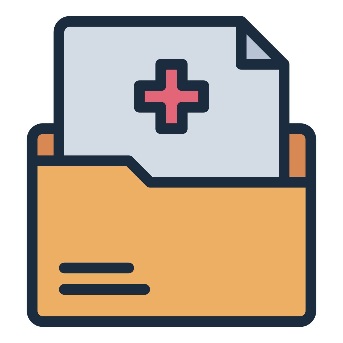 medical record icon
