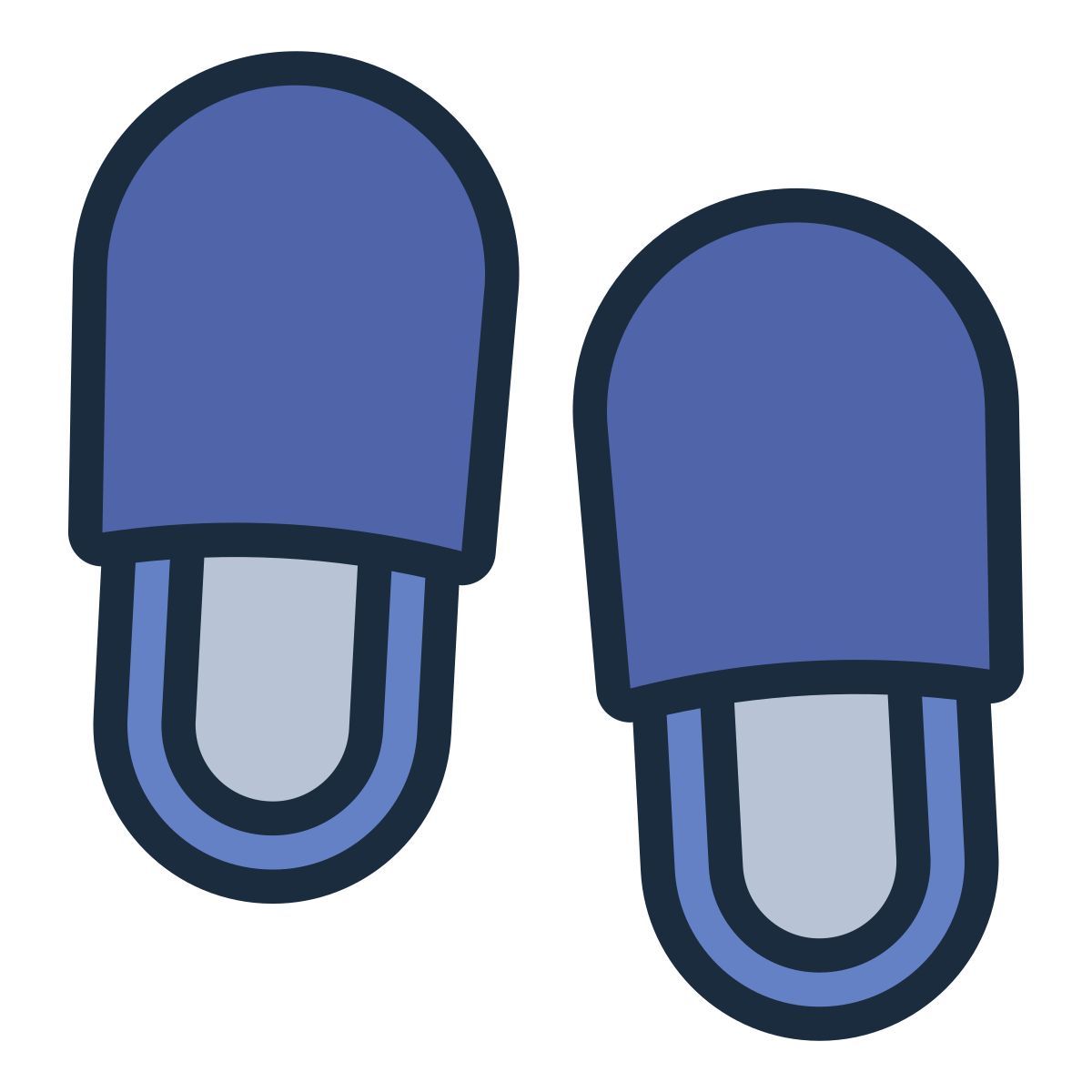 slippers icon