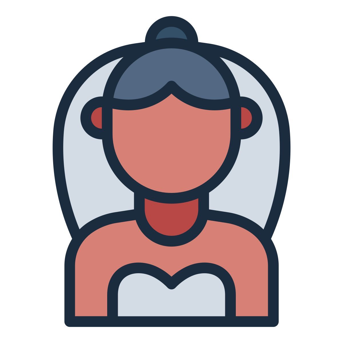veil icon