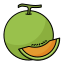 external melon-vegetable-and-fruit-filled-line-filled-line-andi-nur-abdillah icon