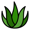 external Aloe-Vera-spa-(filled-line)-filled-line-andi-nur-abdillah icon