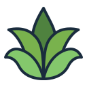 external Aloe-vera-skincare-(filled-line)-filled-line-andi-nur-abdillah icon