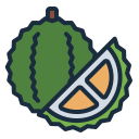 external Durian-indonesia-(filled-line)-filled-line-andi-nur-abdillah icon