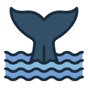 external Whale-ocean-and-sea-(filled-line)-filled-line-andi-nur-abdillah-2 icon