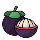 external mangosteen-vegetable-and-fruit-filled-line-filled-line-andi-nur-abdillah icon