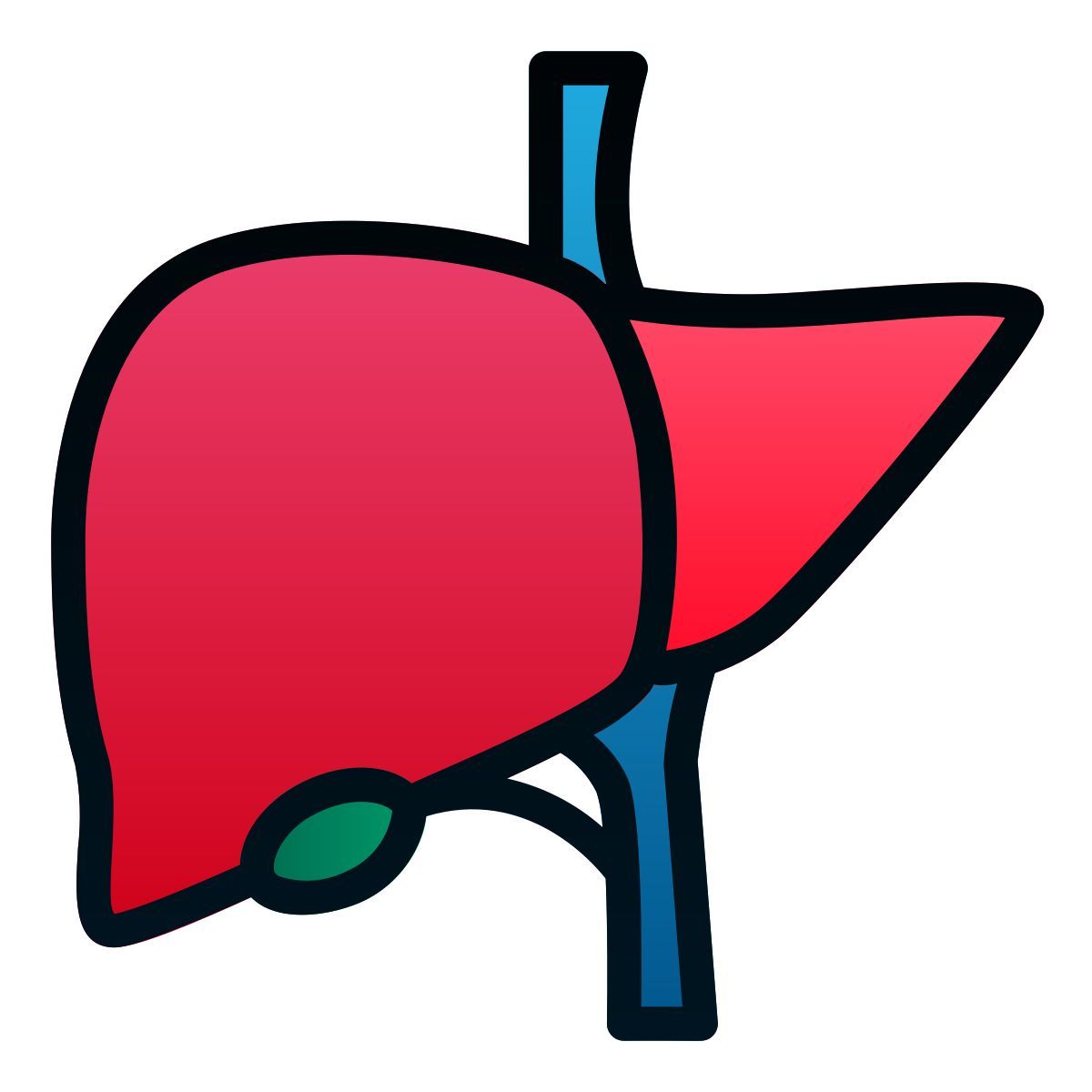 liver icon