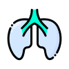 external lungs-healthy-and-medical-filled-outline-deni-mao icon