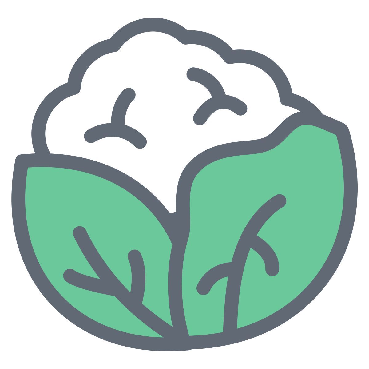 Coliflor icon