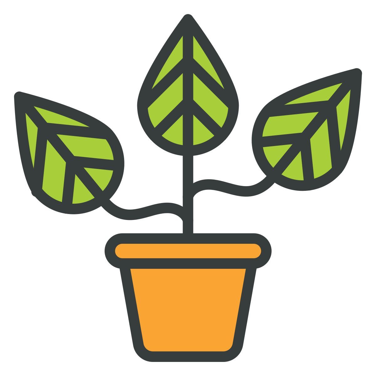 indoor plant icon