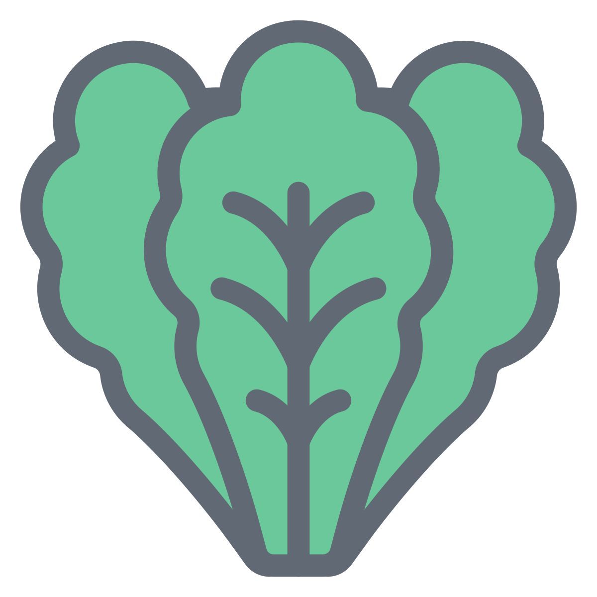 lettuce icon
