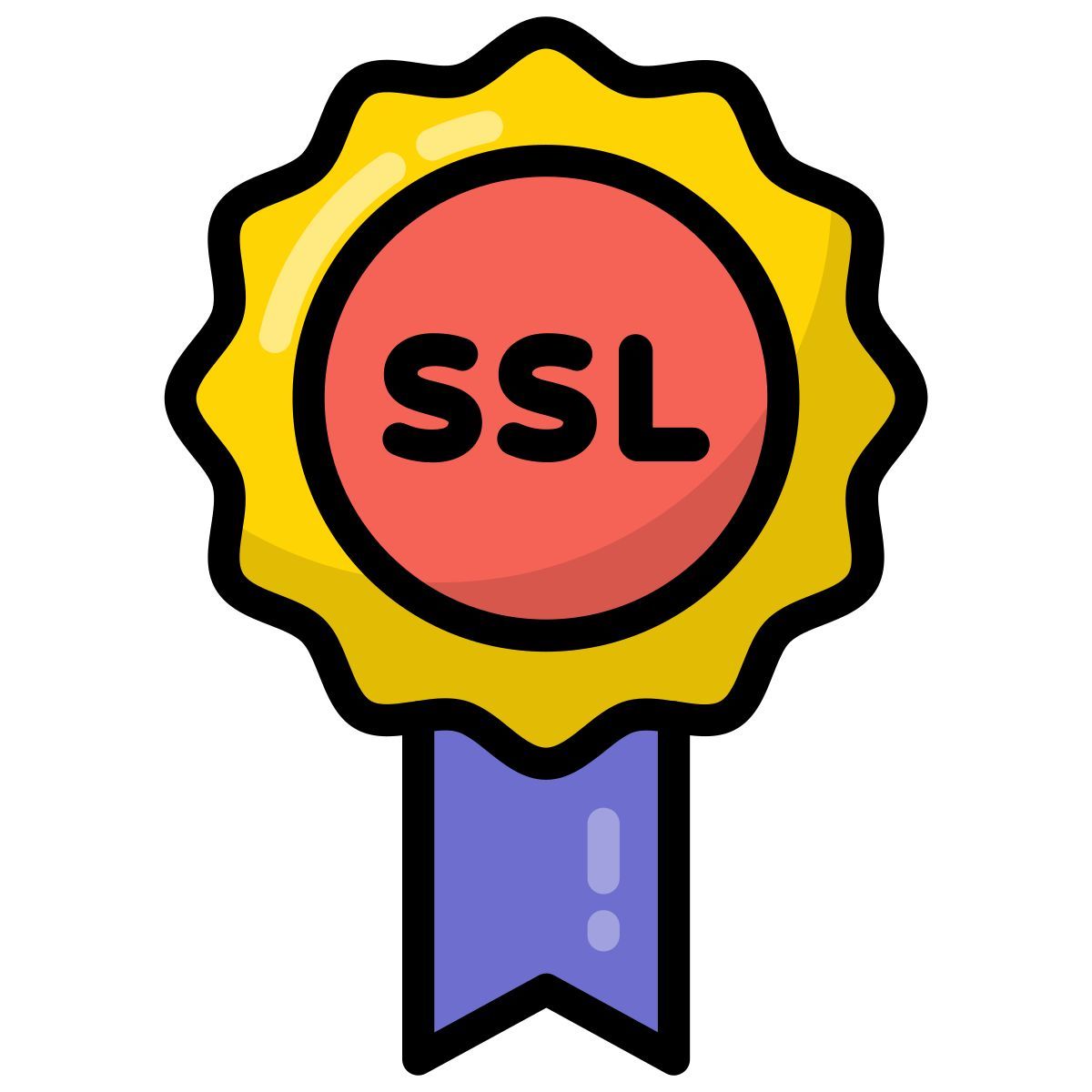 ssl icon