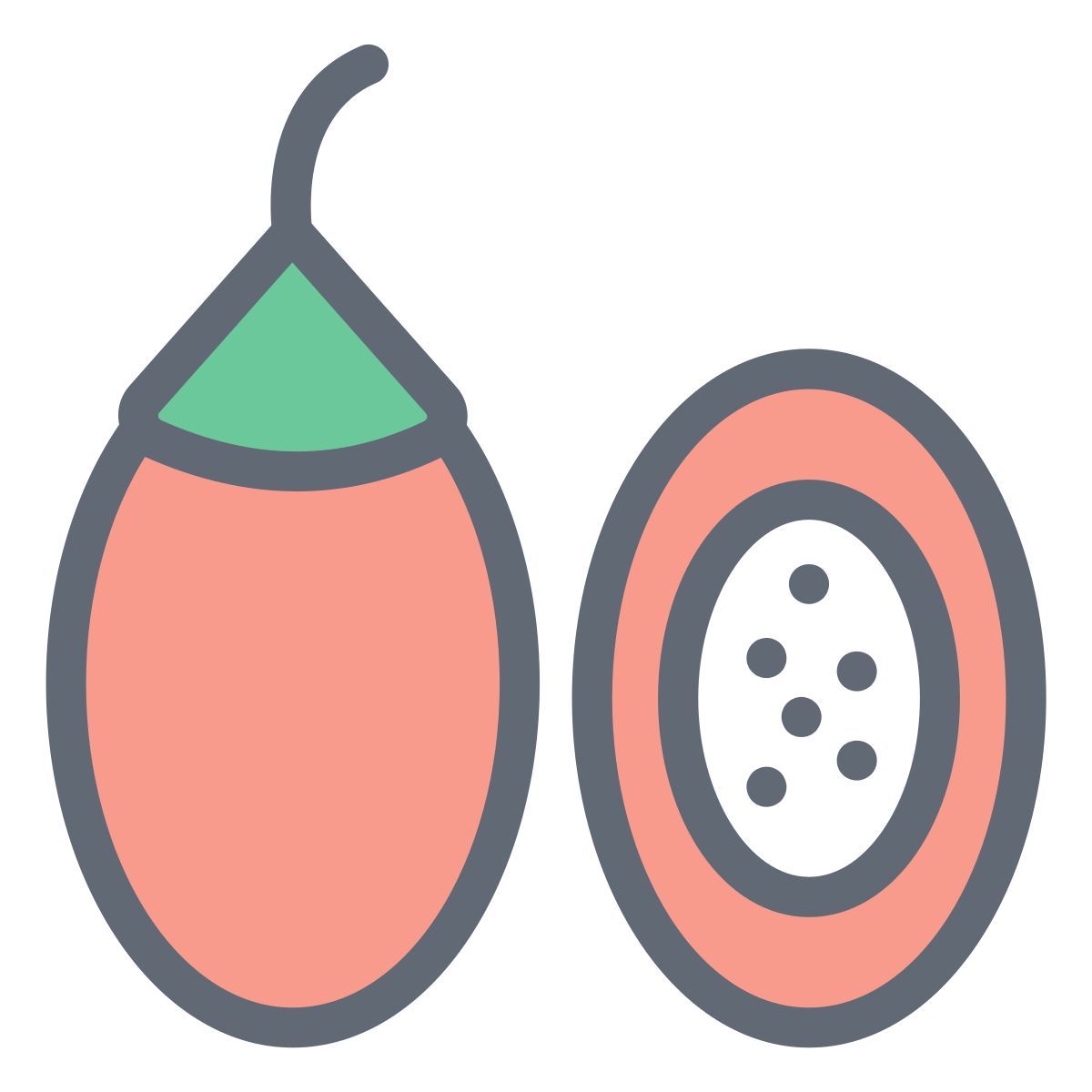 tamarillo icon