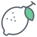 external Lemon-fruits-and-vegetables-filled-outline-design-circle-2 icon