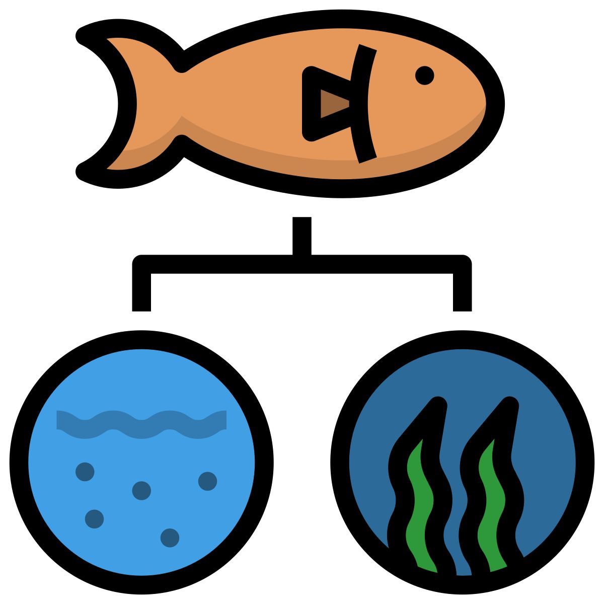 data icon