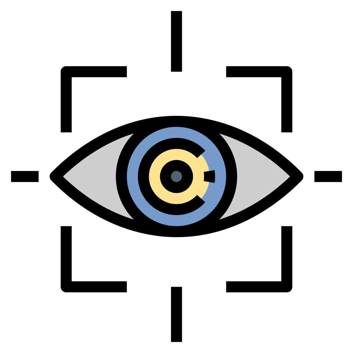 eye icon