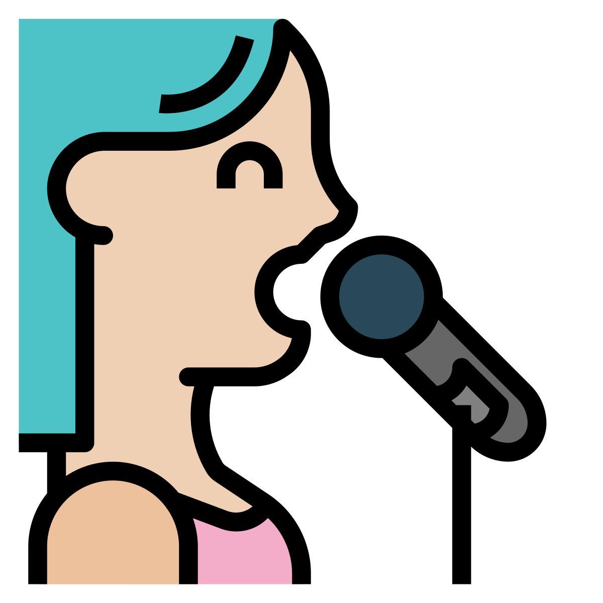 concert icon