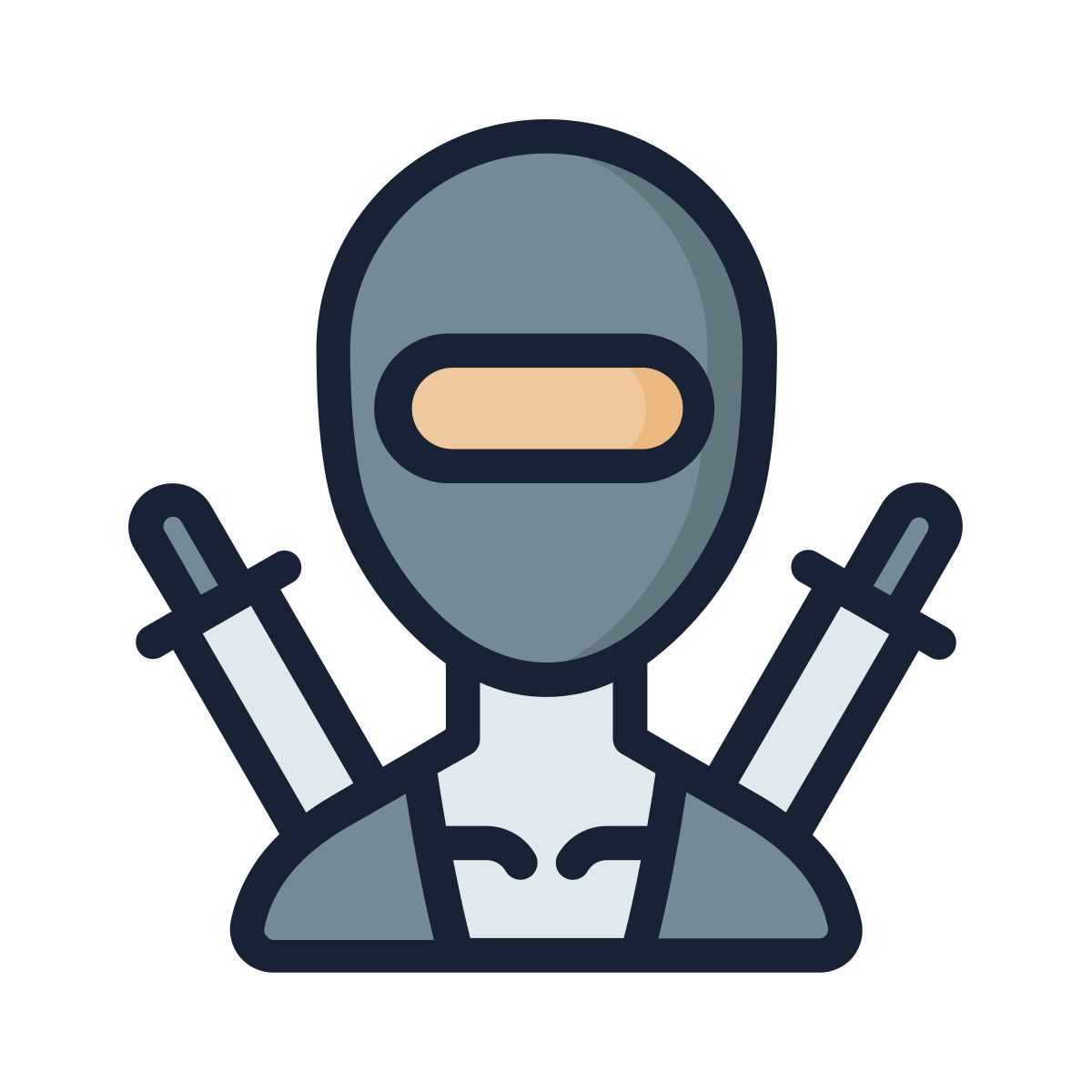 ninja icon