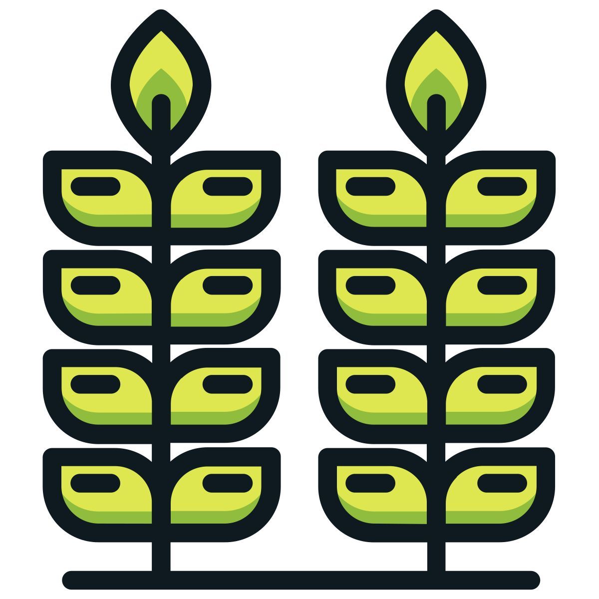 wheat icon