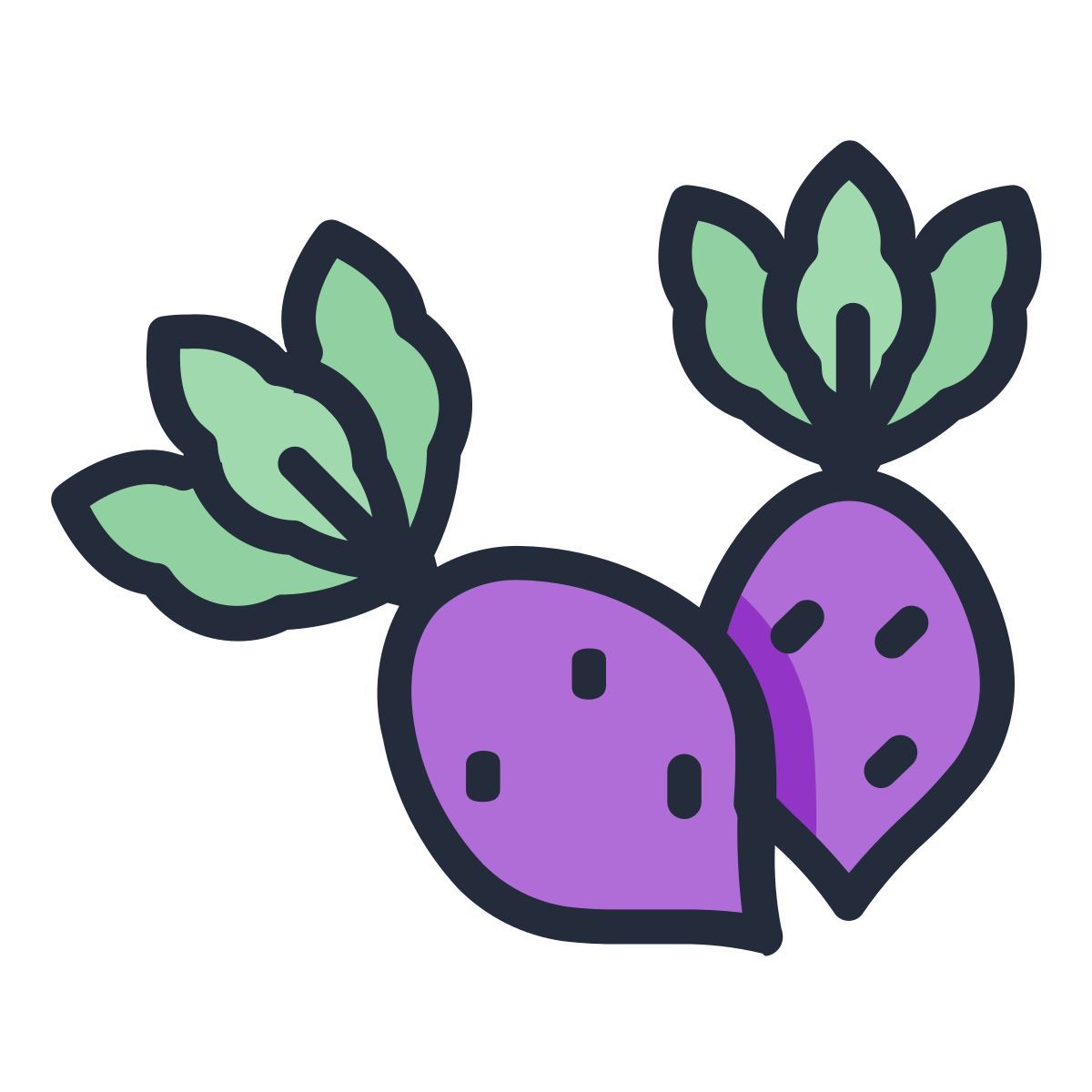 beetroot icon