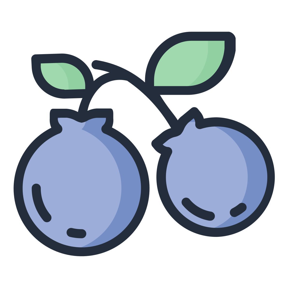 blueberry icon