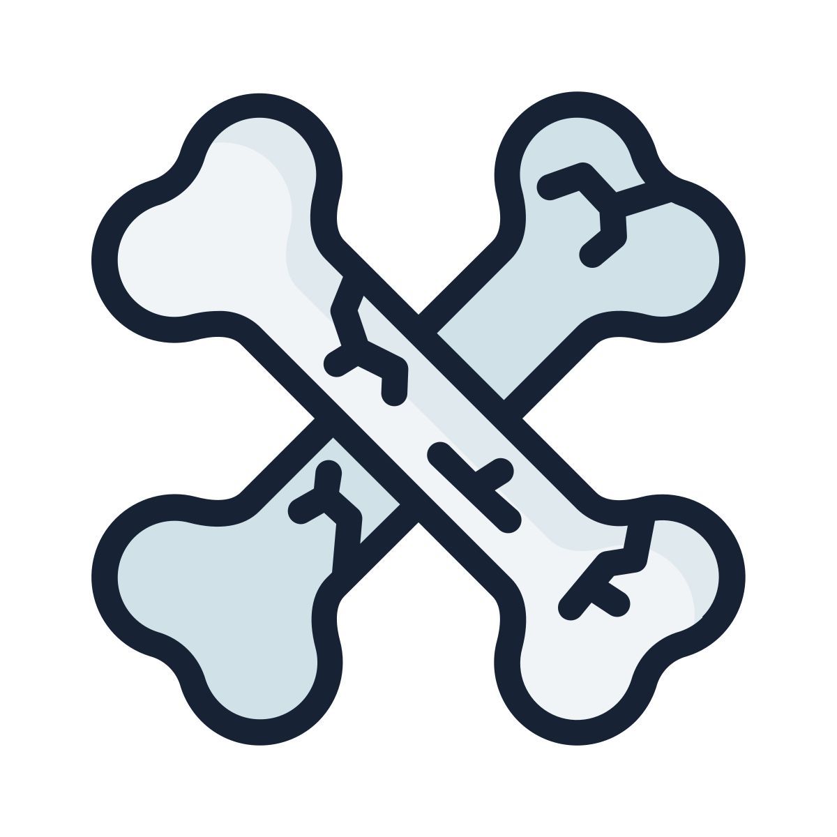 bones icon