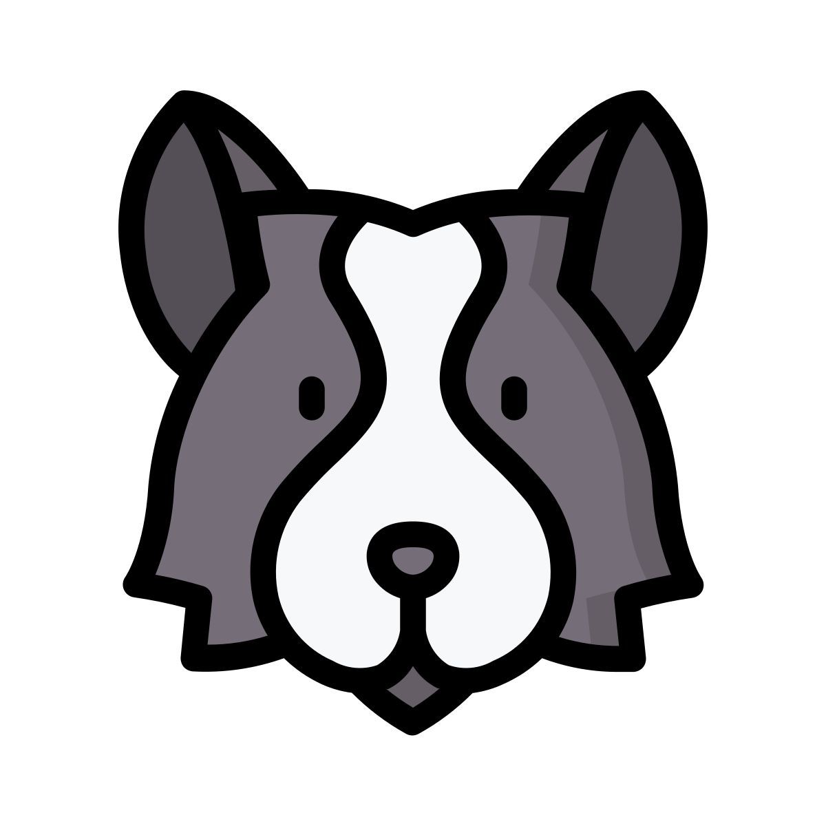 border collie icon