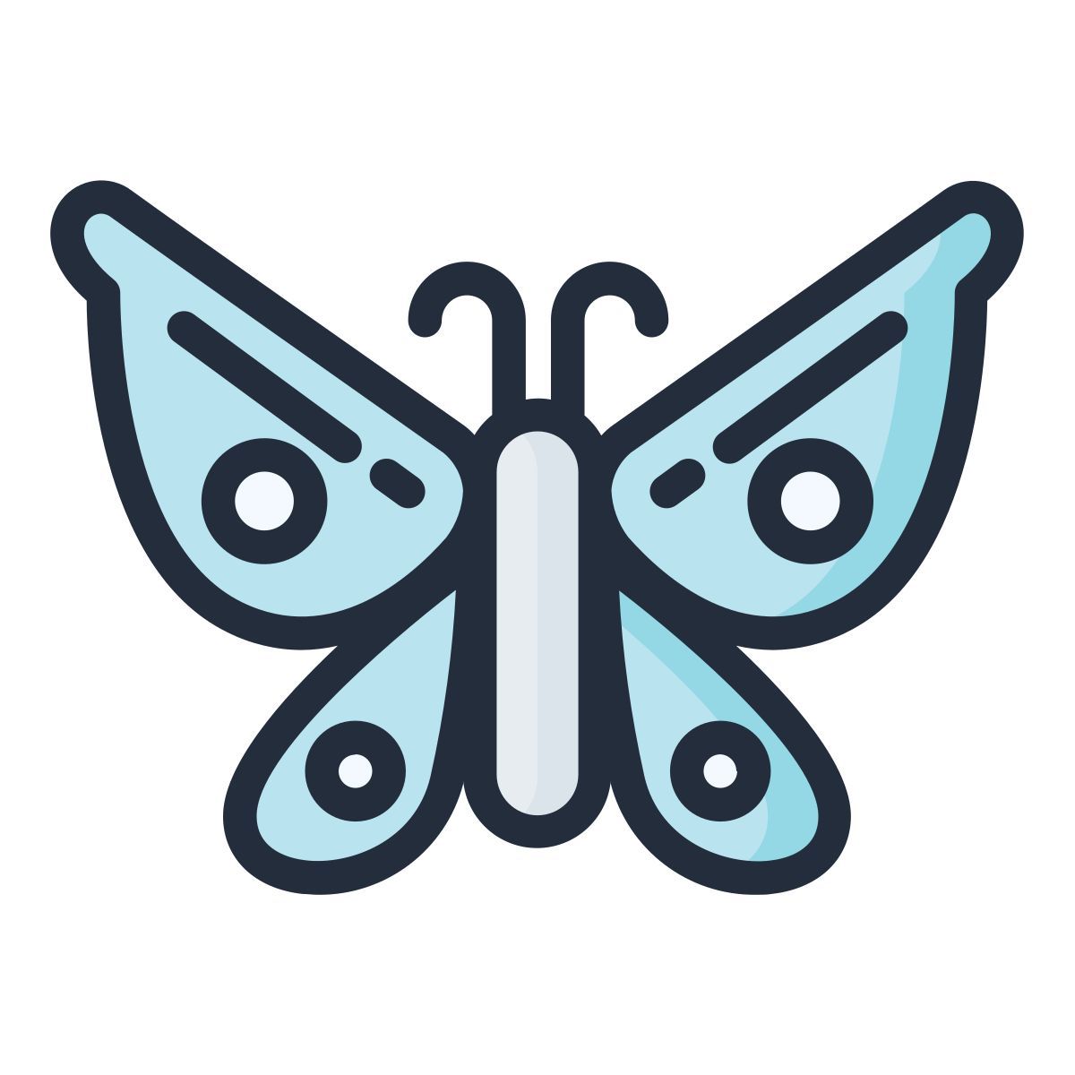 butterfly icon