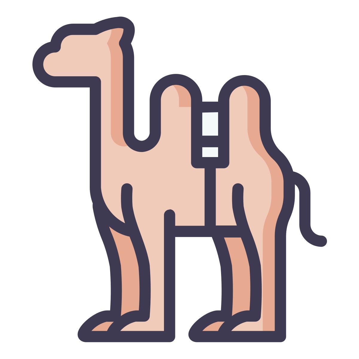 camel icon
