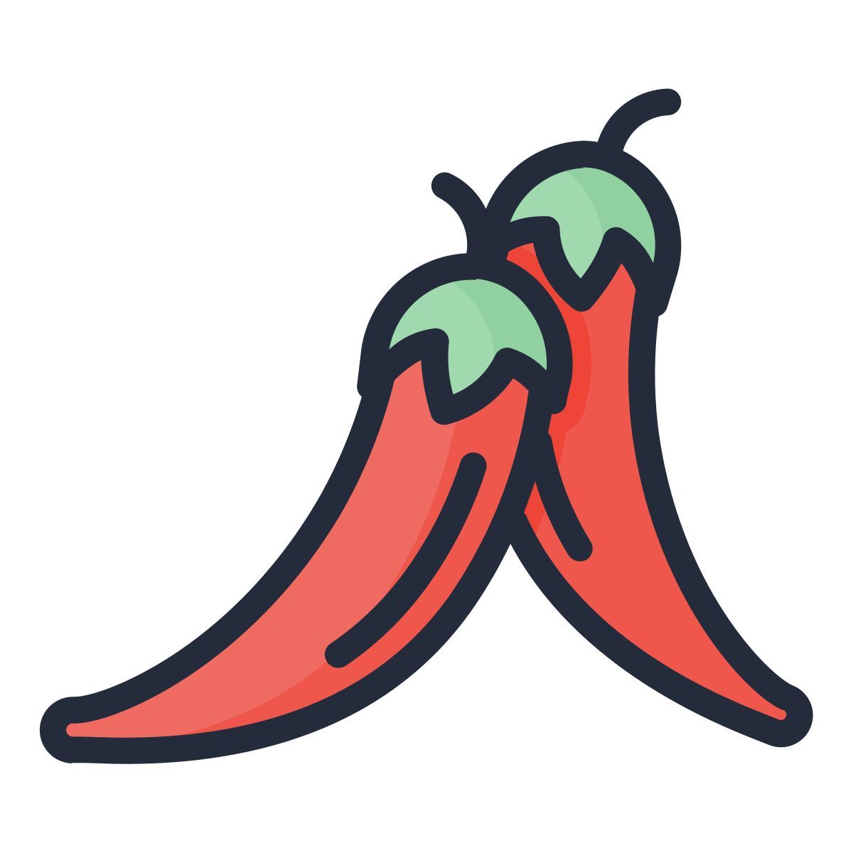 chilli pepper icon