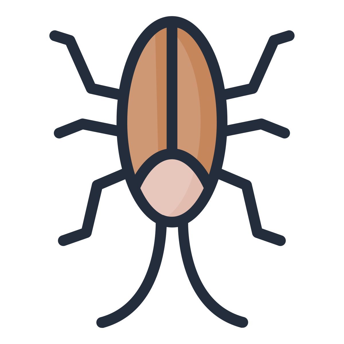 cockroach icon