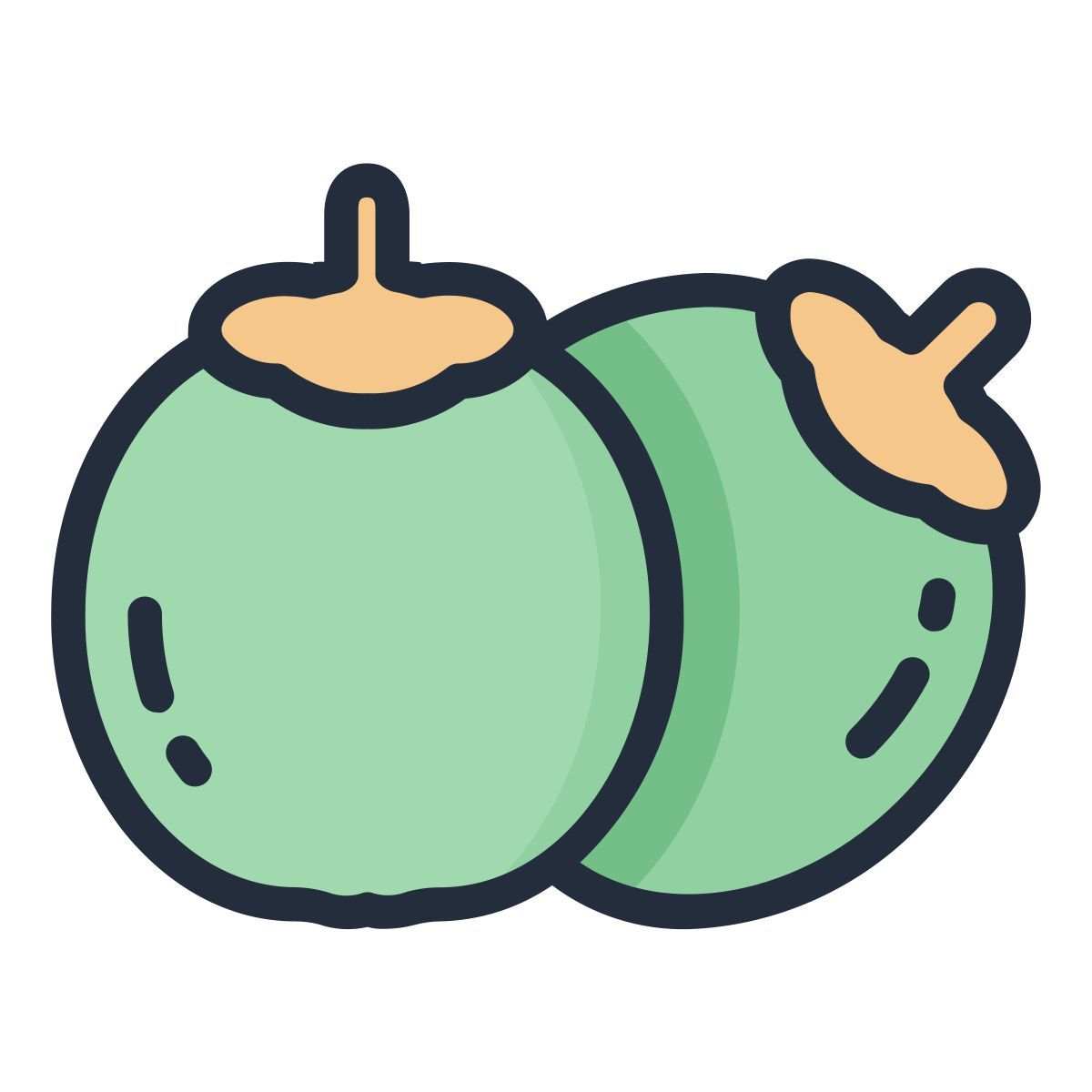 coconut icon
